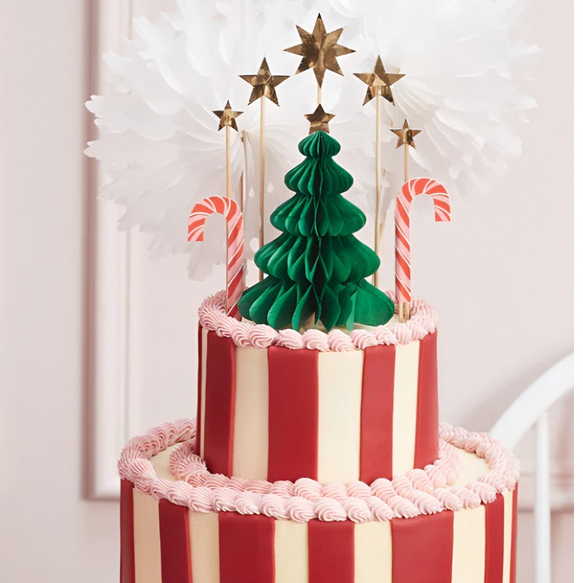 Stunning Christmas Cake Topper Set
